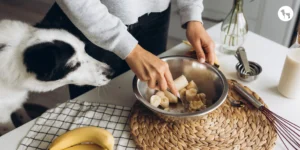 Can Dogs Eat Bananas